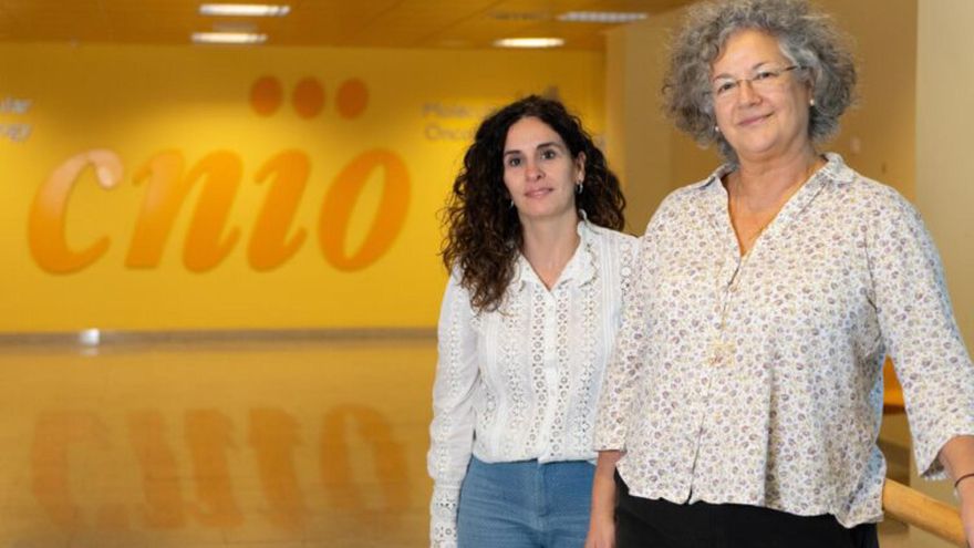 Identifican nuevos genes que predisponen al cáncer de páncreas