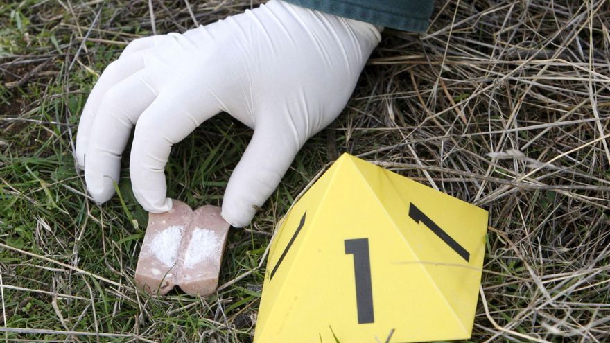 Castilla-La Mancha endurece la lucha contra cebos envenenados con más control en el acceso a sustancias tóxicas