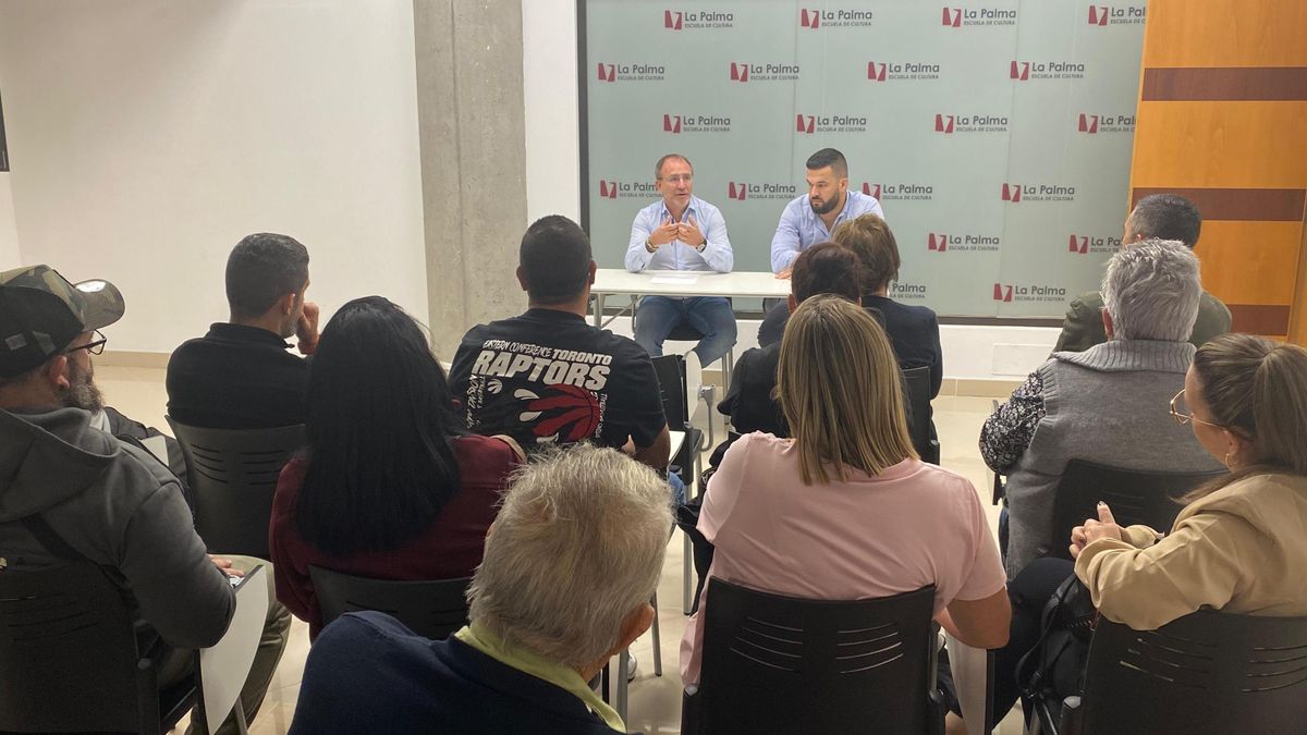 El Cabildo apoya al sector del transporte de mercancías y reitera la necesidad de recuperar los servicios que prestan las navieras