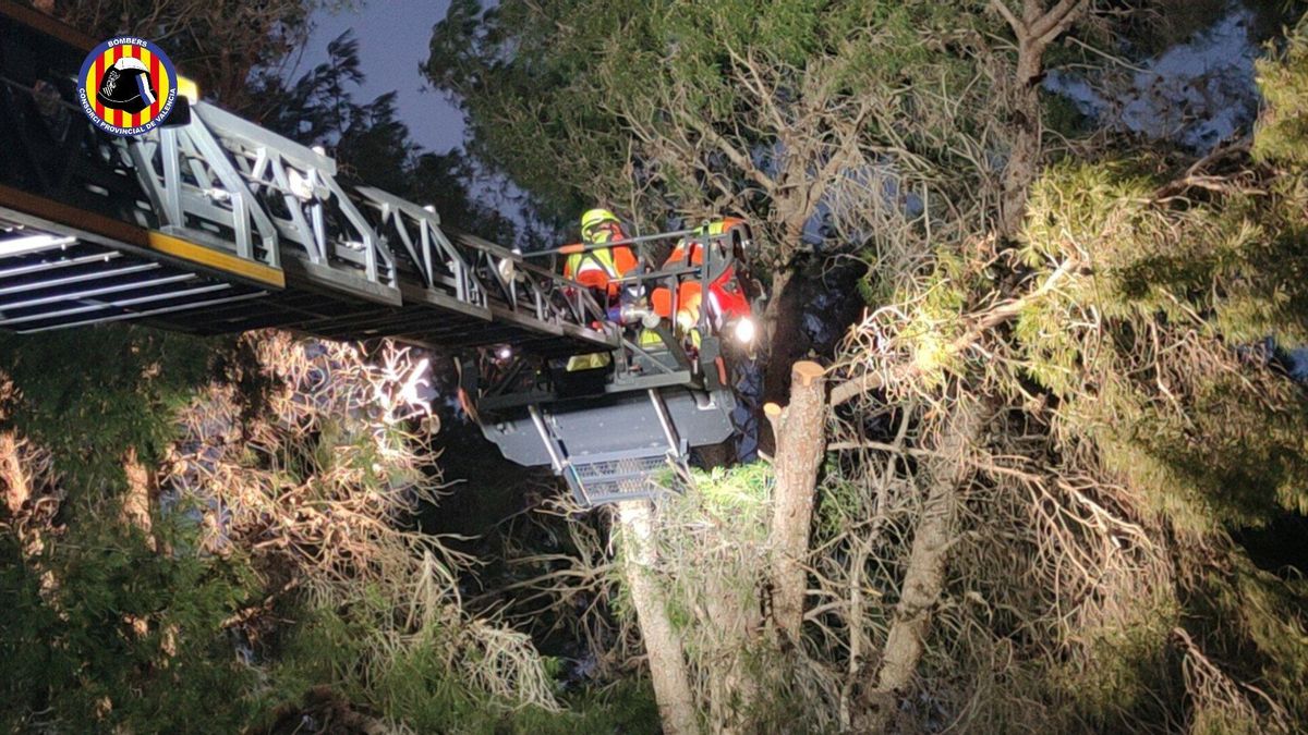 Vientos huracanados de 150 km/h obligan a decenas de intervenciones de bomberos en València
