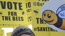 Un centenar de manifestantes en Londres piden a Cameron que proteja a las abejas
