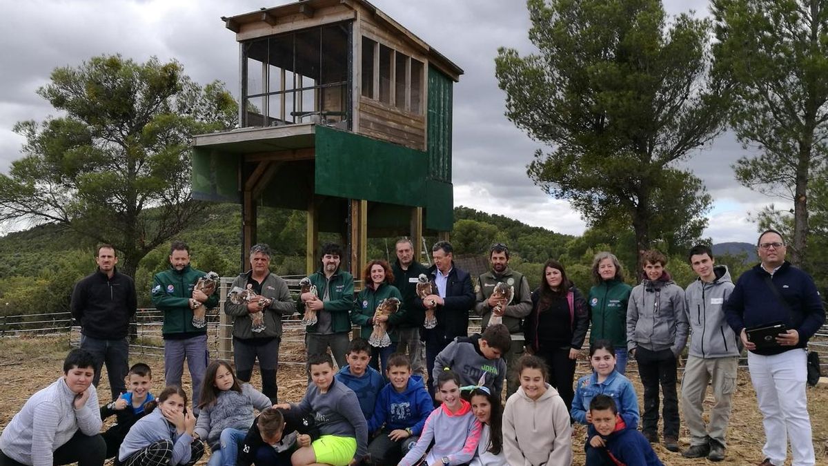 Seis nuevas águilas de Bonelli liberadas en Cáseda, dentro del proyecto europeo AQUILA a-LIFE
