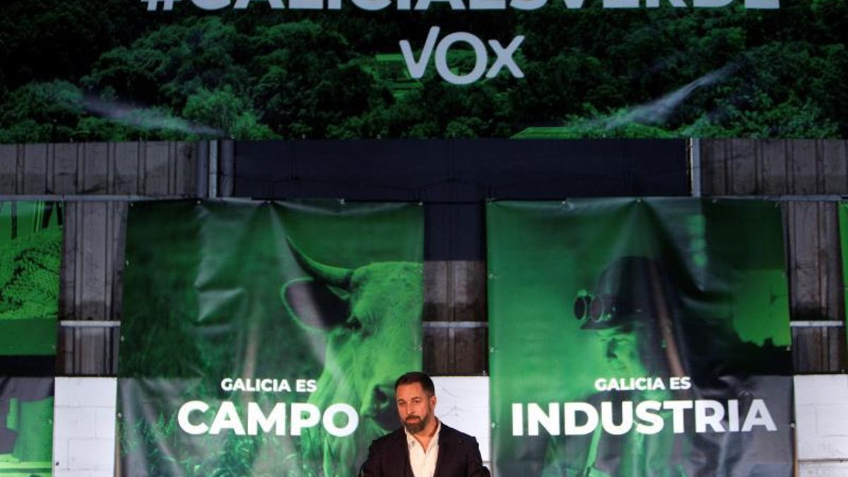 Abascal ve "una oportunidad histórica" de tener a Feijóo "vigilado"
