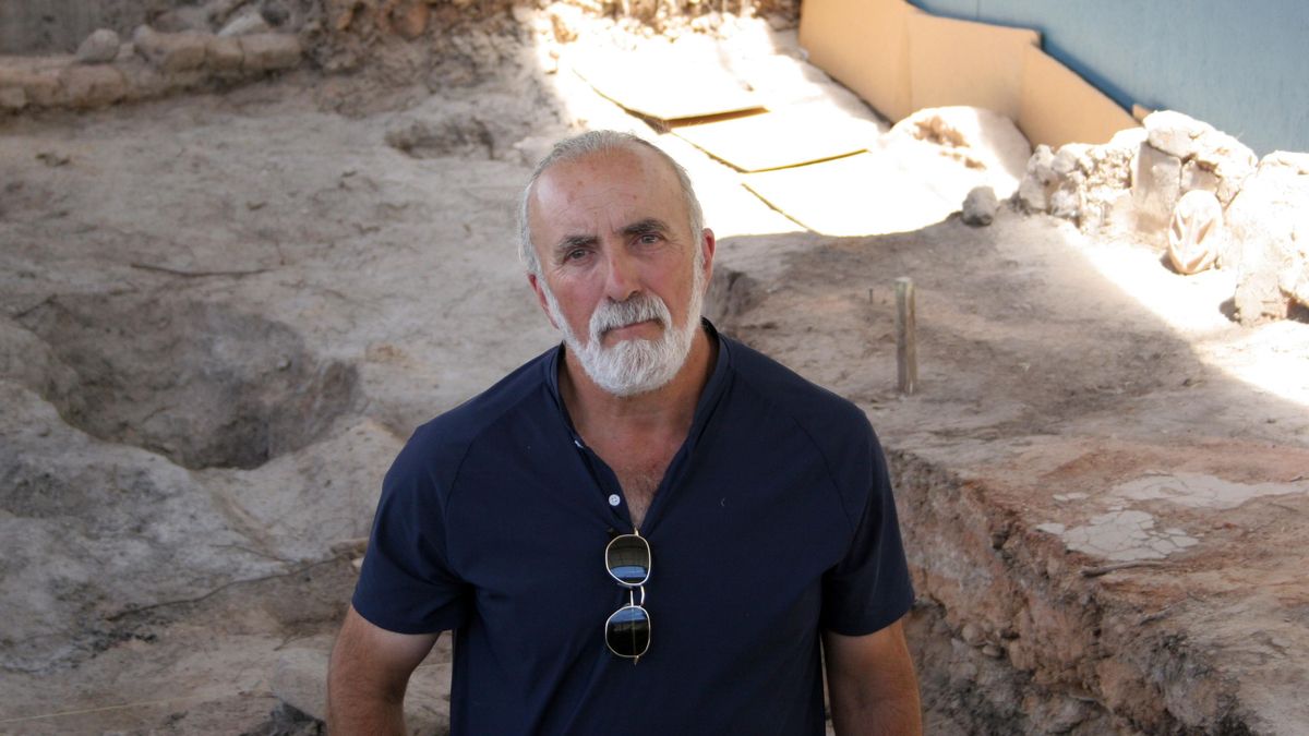 Carlos Sanz, director del Proyecto Pintia, en una de las zonas de investigación de la ciudad vacceo-romana de Pintia