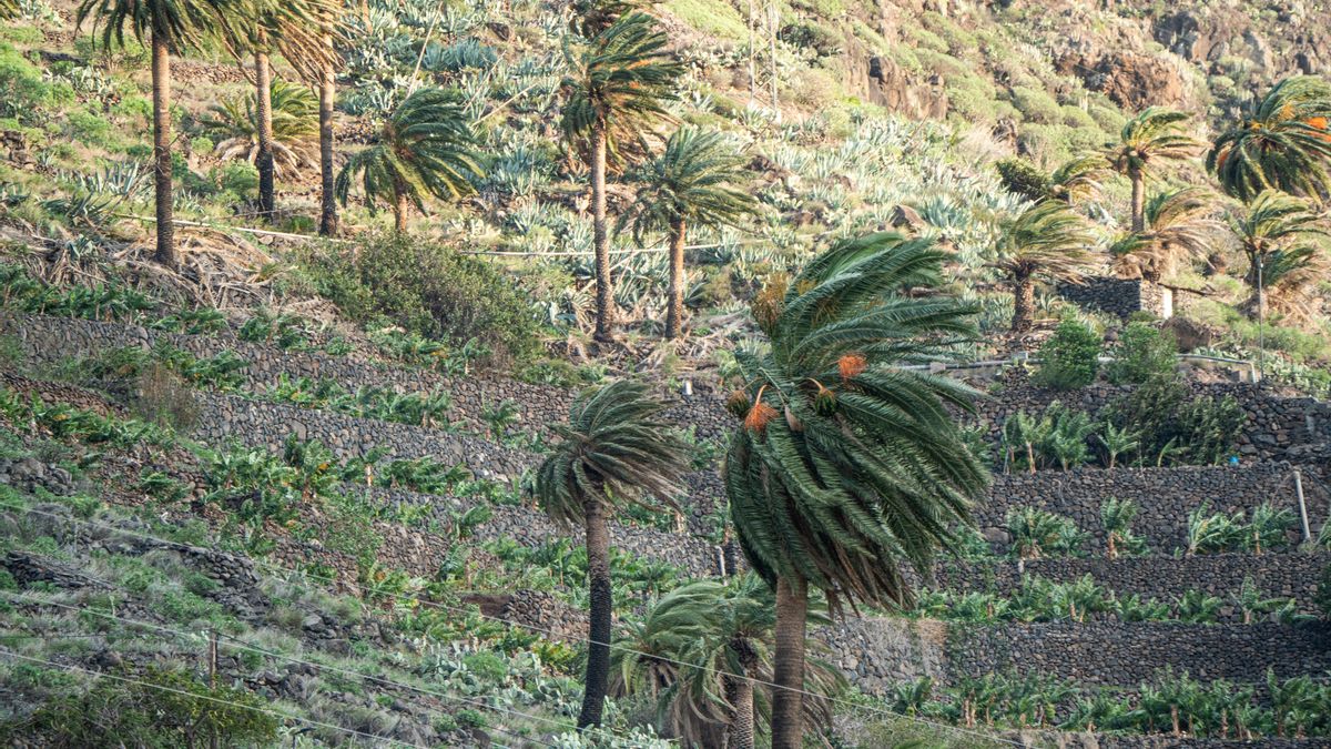 La meteorología adversa en Canarias obliga a la Aemet a seguir activando avisos amarillos y naranjas