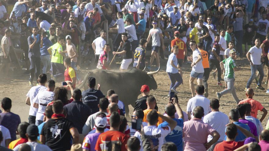 La Justicia suspende de manera cautelar el Toro de la Vega