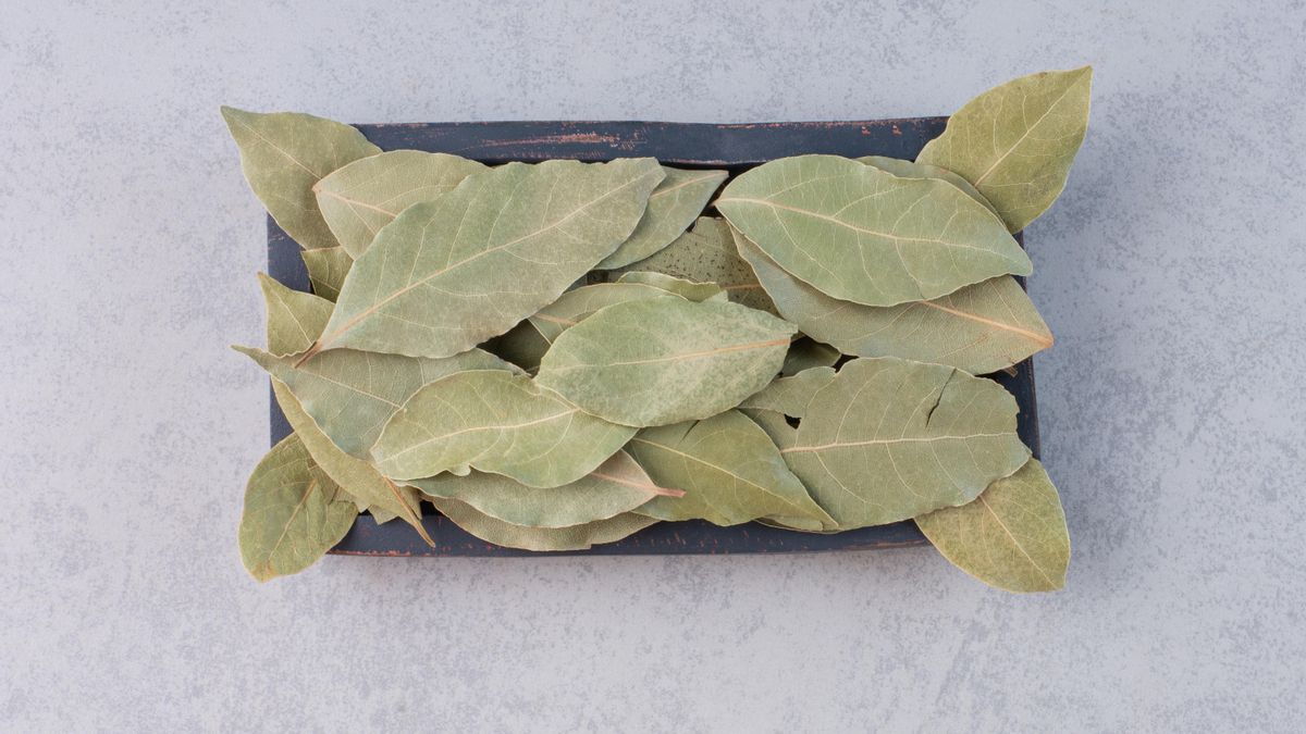 Para qué sirve mezclar vinagre blanco con hojas de laurel y cuáles son sus beneficios