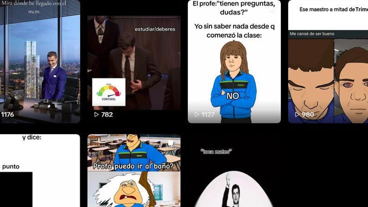 Un perfil 'curi' en TikTok.