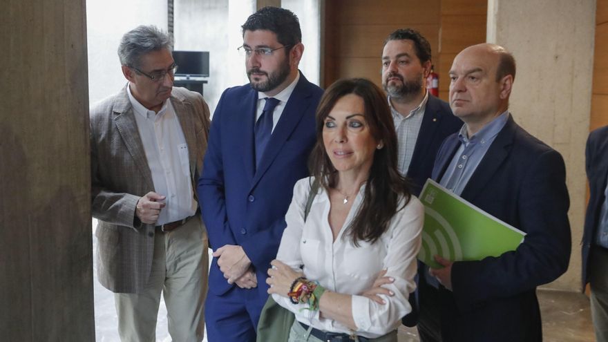La diputada de Vox, Marta Fernández (3d), junto a los diputados de esta formación Daviz Arranz (2d), Alejandro Nolasco (2i) y Santiago Morón (d). EFE/ Javier Cebollada