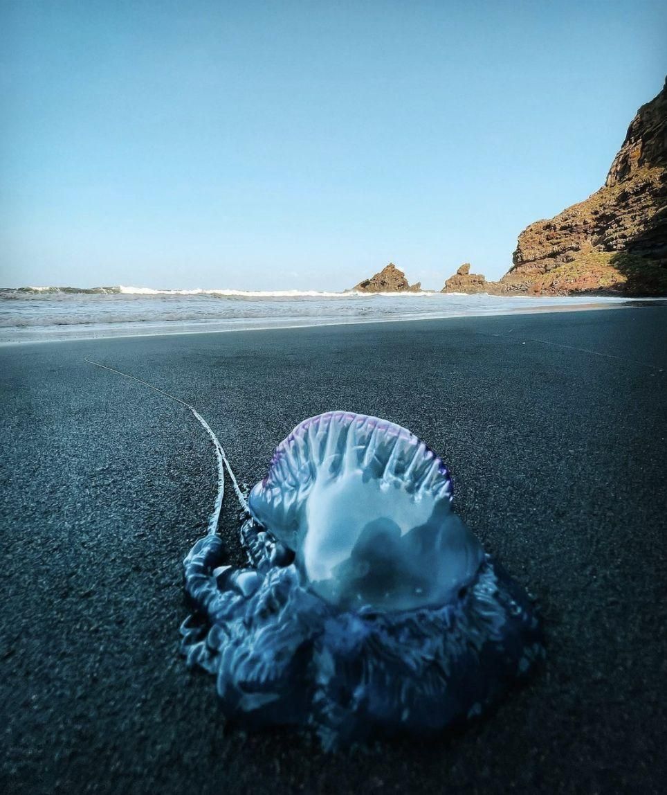 Imagen de la Playa de Nogales, en Puntallana, captada por PATRICIA O.