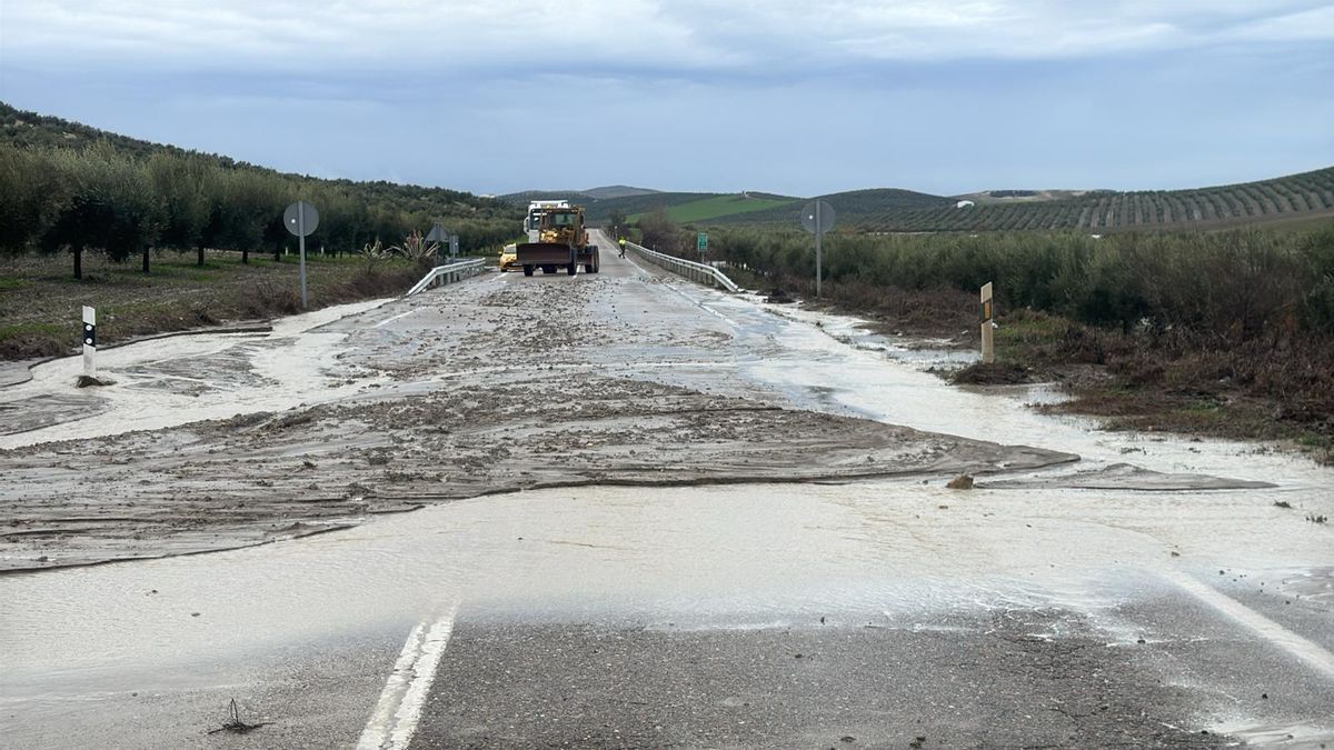 Cortada A-309, PK 34,500, Arroyo salado, pasando por encima de la carretera, entre Bujalance y Castro del Río