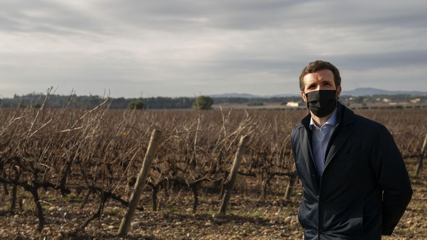 El líder del PP, Pablo Casado, durante una de sus últimas visitas a Catalunya.