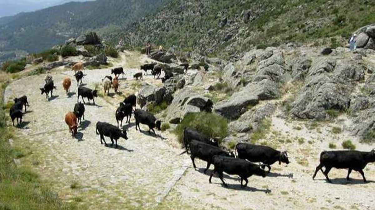 Calzada romana del Puerto del Pico, en Gredos.