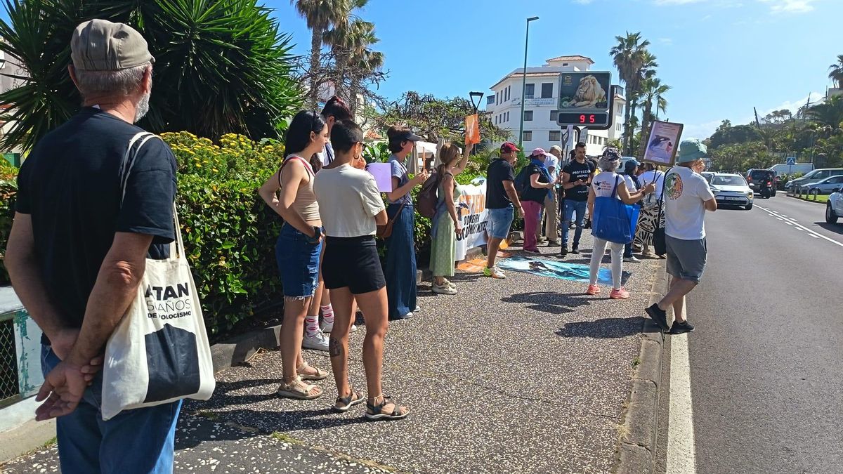 Una nueva protesta contra Loro Parque y otros zoológicos del mundo pide la liberación de los cetáceos: “Basta de maltrato animal"