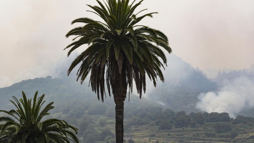 El incendio forestal que afecta a la isla de Tenerife este sábado mientras avanza por el municipio de Santa Úrsula. EFE/Alberto Valdés