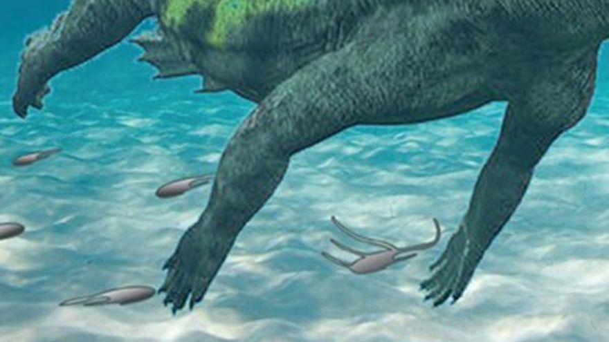 Descubren huellas de un reptil acuático de 240 millones de años de antigüedad en Guadalajara
