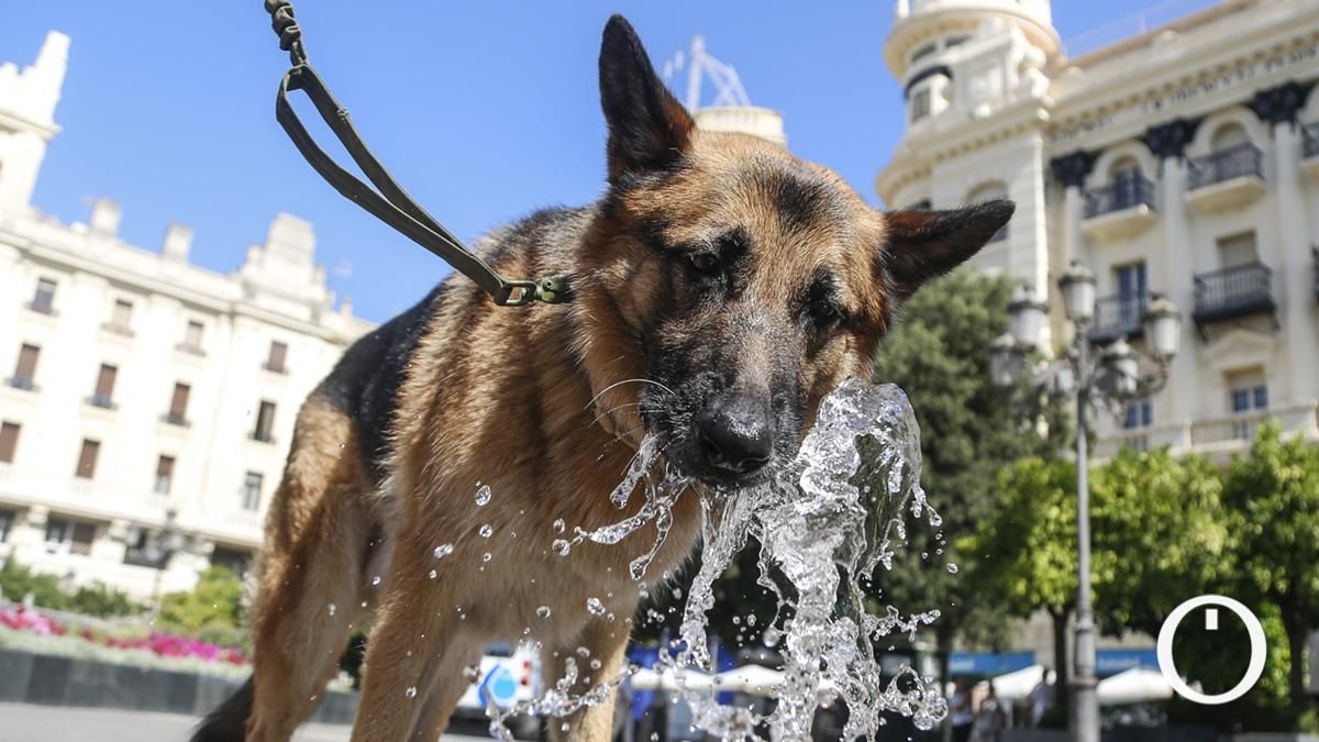 La Aemet vuelve a activar los avisos por calor en Córdoba