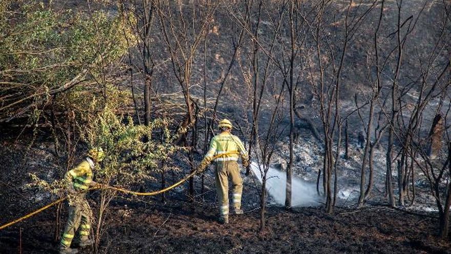 David Arranz / ICAL.