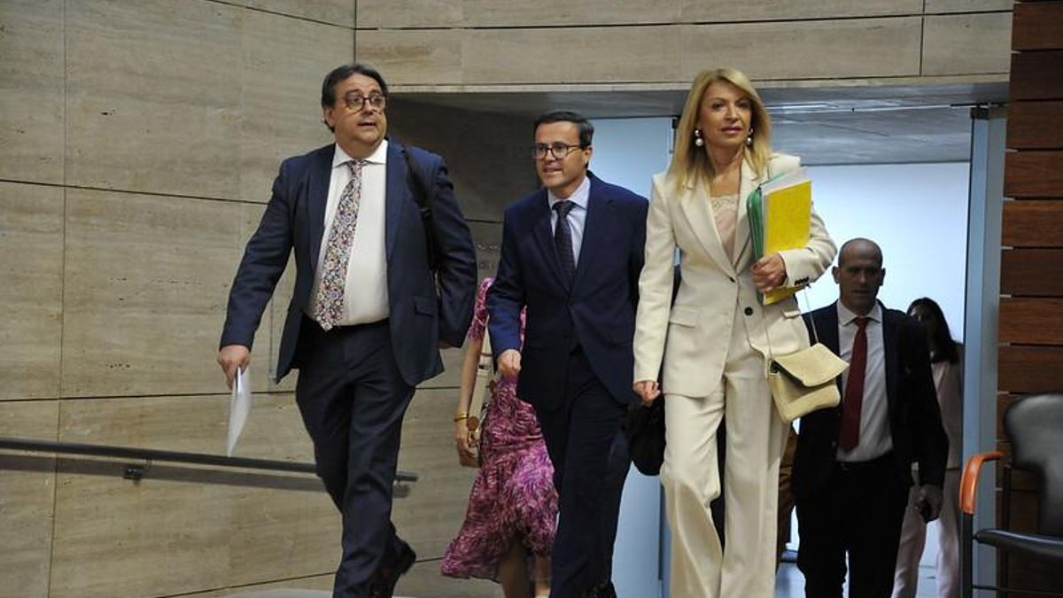 El secretario general del PSOE extremeño, Miguel Ángel Gallardo, a su llegada al pleno con el vicepresidenta y la portavoz del grupo parlamentario socialista, José María Vergeles y Piedad Álvarez