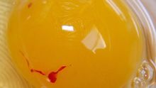 ¿Se pueden comer los huevos con restos de sangre?