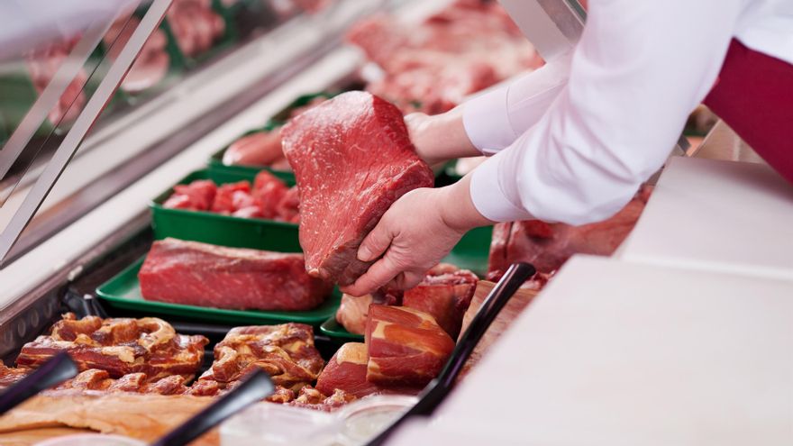 Carnes y productos cárnicos