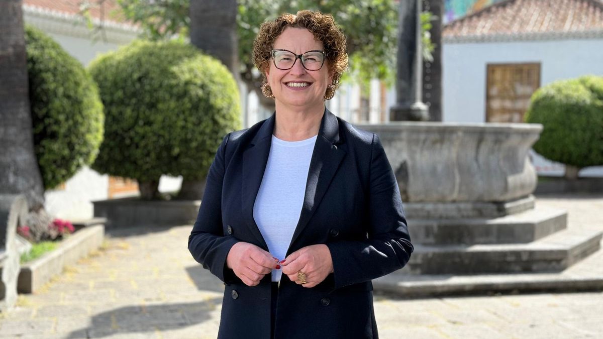 El PP reclama una red de puntos de recarga rápida que “permita avanzar hacia la movilidad sostenible en La Palma”