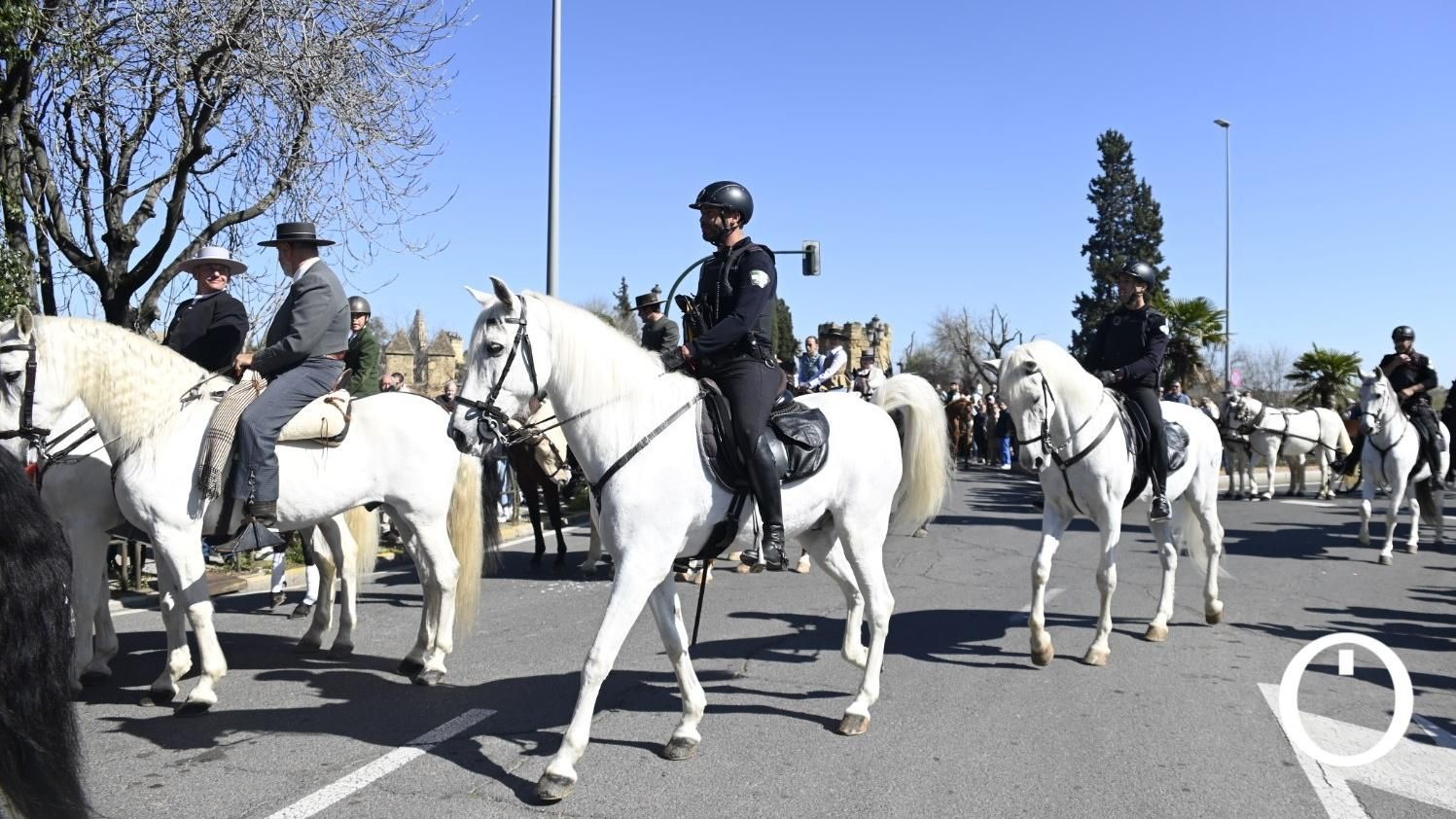 Marcha hípica por el día de Andalucía