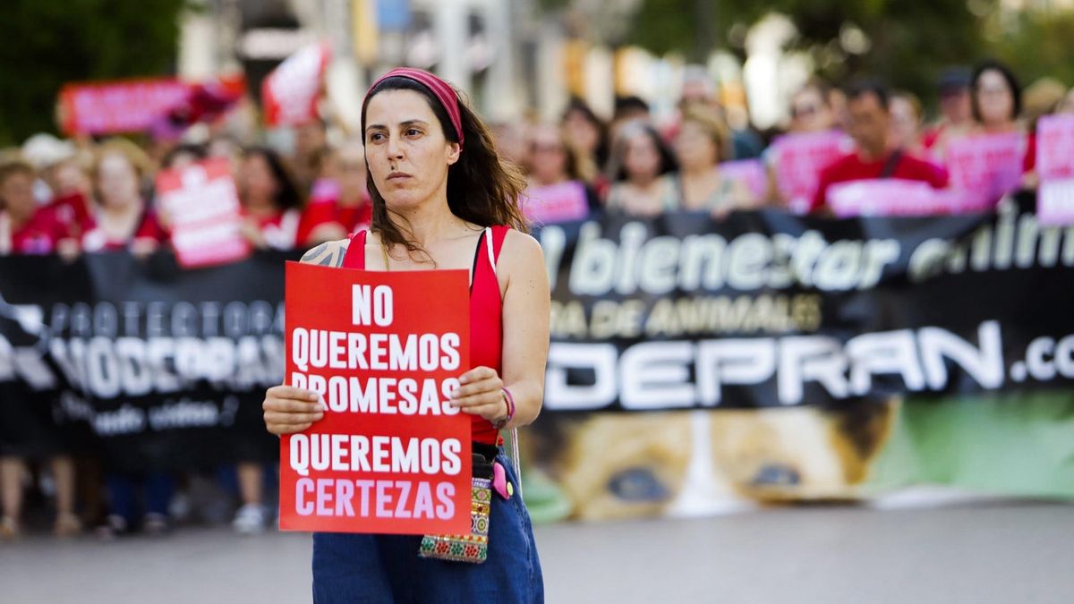Una manifestante, muestra un cartel exigiendo explicaciones.