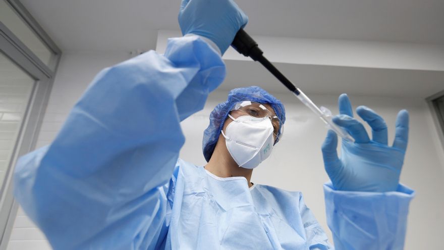 Estudio revela que la infección por Covid-19 genera células de memoria que pueden volver a producir anticuerpos