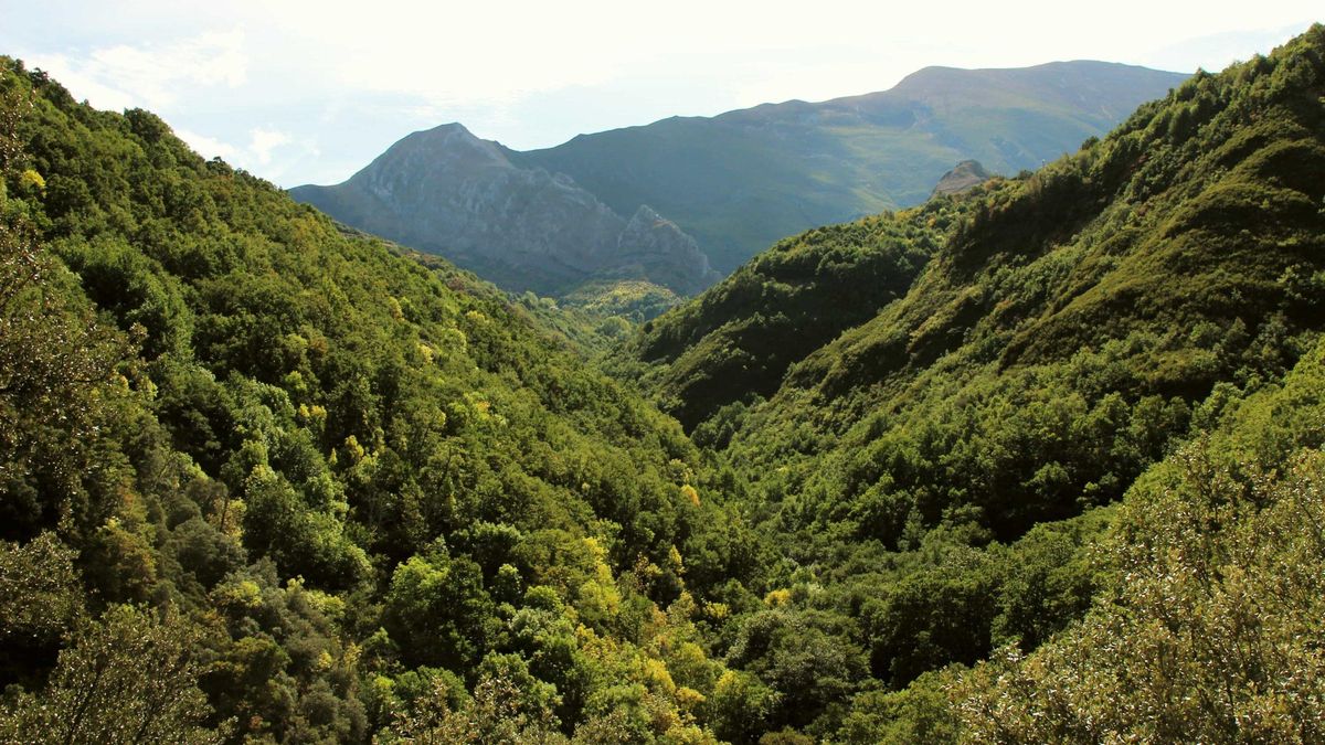 El valle en todo su esplendor.