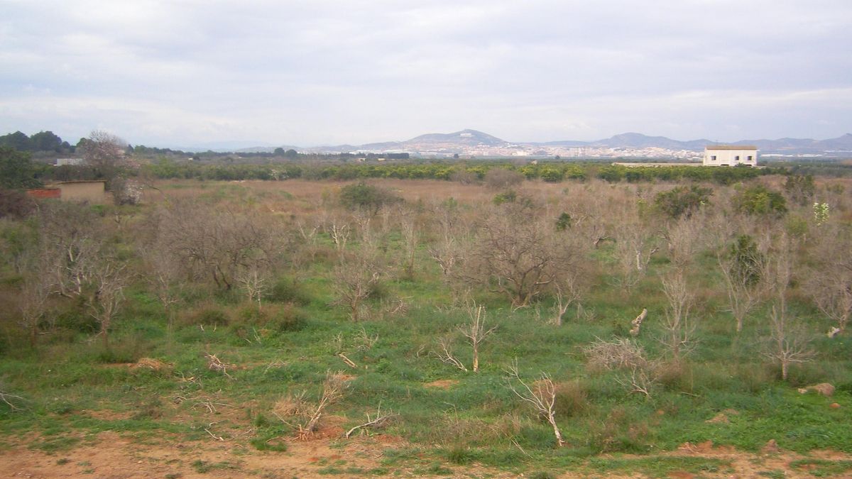 Terrenys on es va projectar el PAI amb camp de Golf a la Pobla de Vallbona.