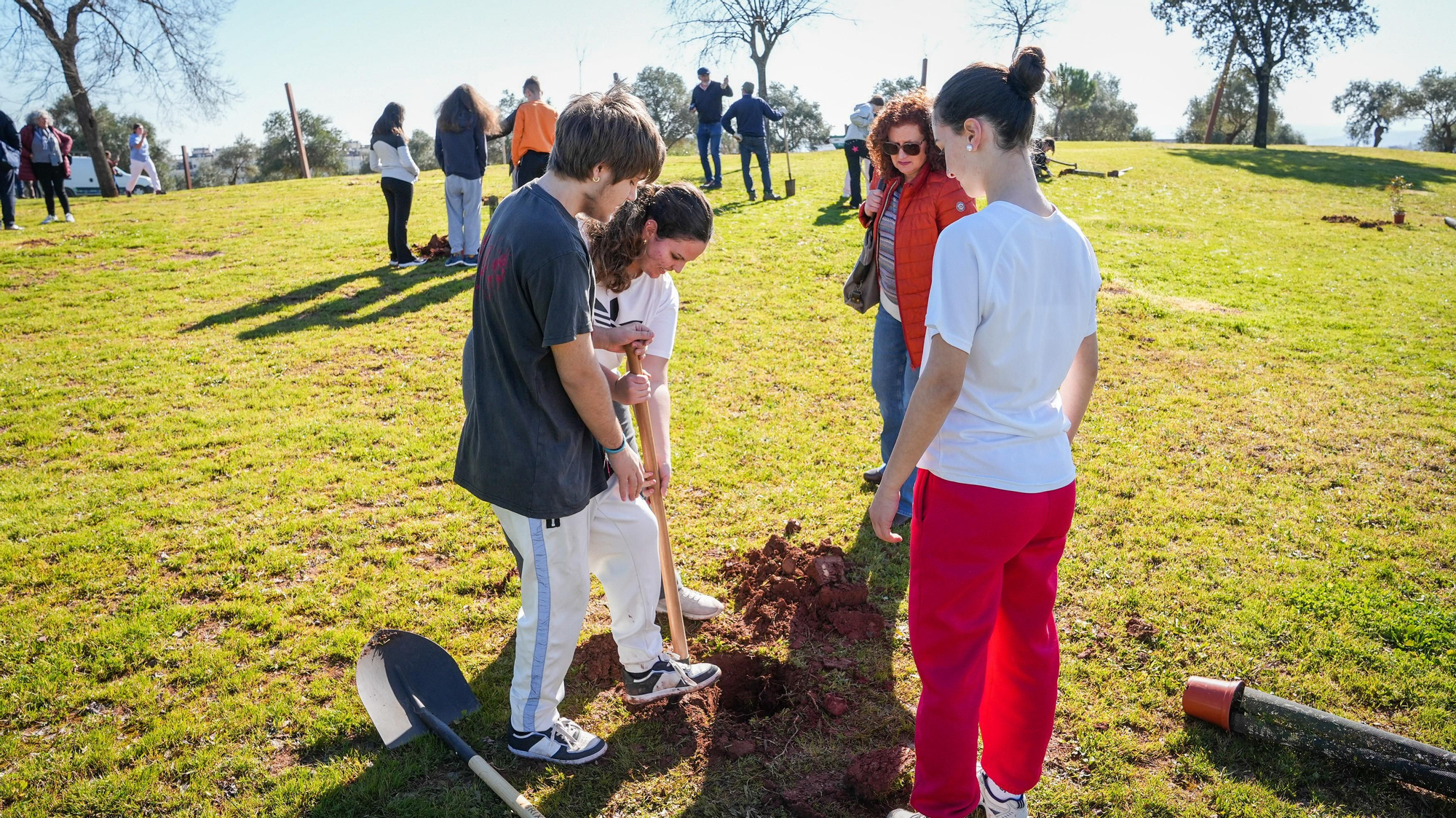 Primera plantación de EnArbolando Córdoba en La Asomadilla