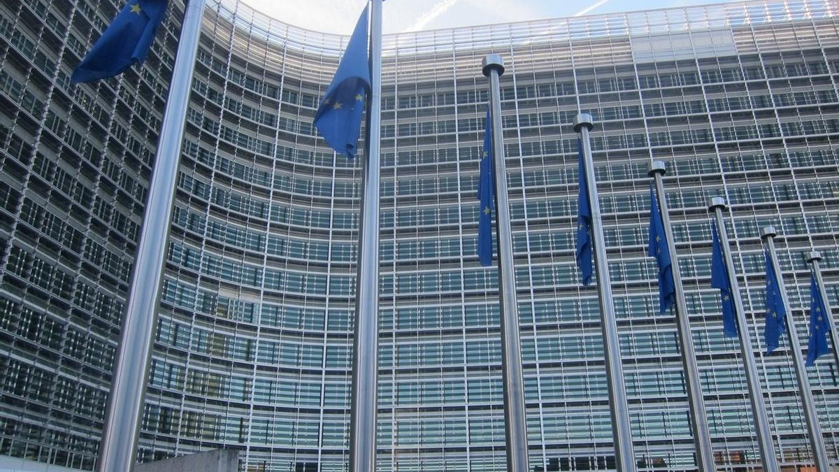 15 eurodiputados llevan a la Comisión Europea el chat de jueces contrarios a la independencia