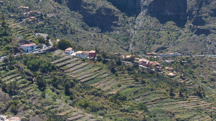Tenerife activa medidas de nivel 3: prohíbe transitar el monte y cortará las carreteras forestales para las Perseidas