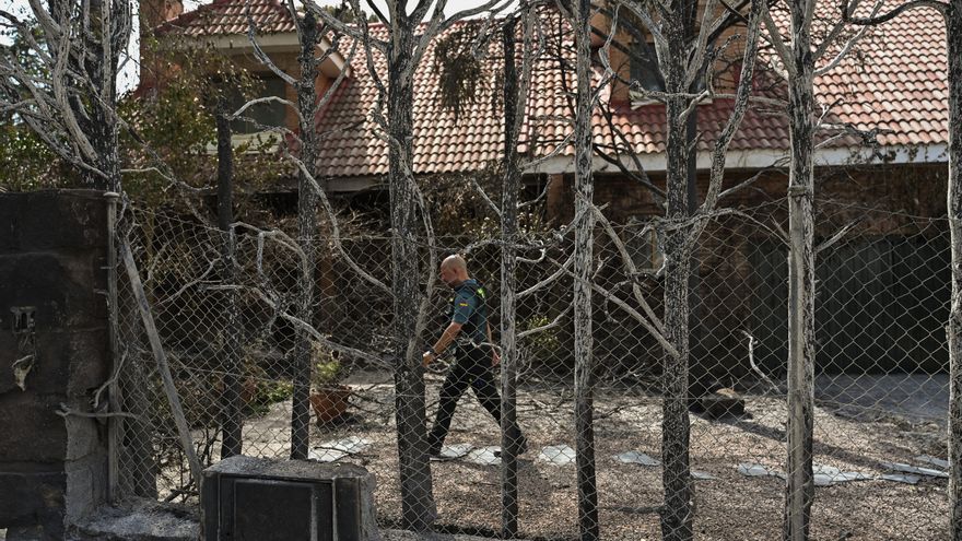 Ecologistas critican la "opacidad" del Gobierno de Ayuso en el daño a un monte protegido del incendio de Tres Cantos
