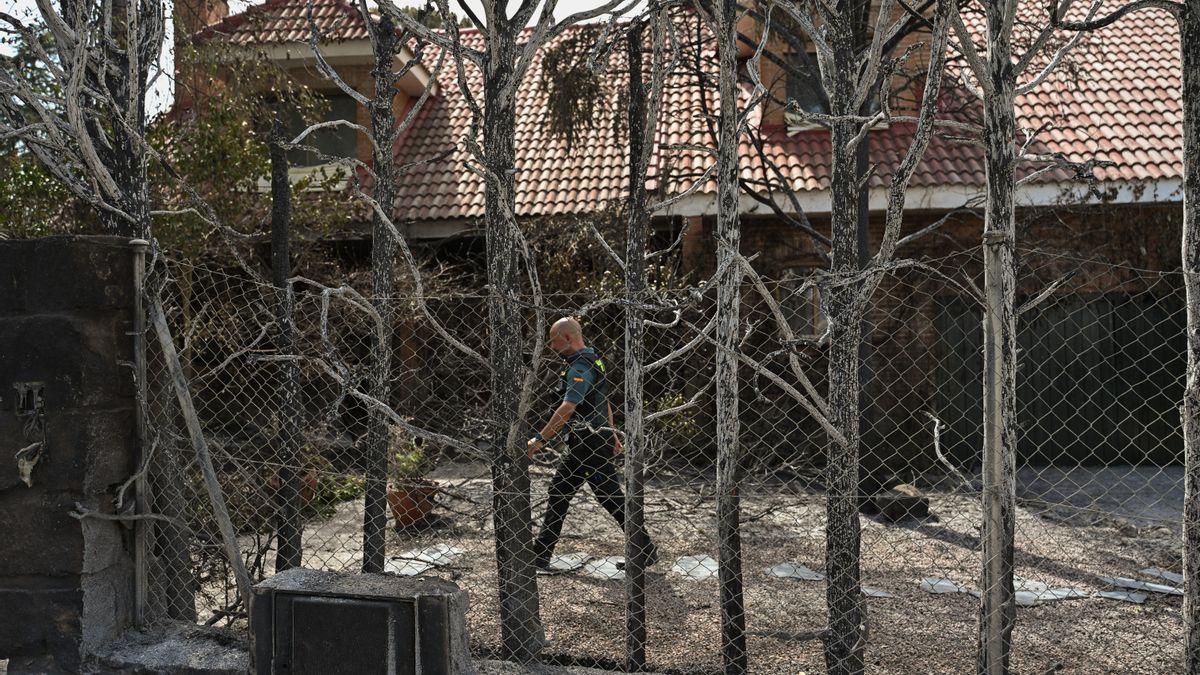 Efectivos de la Guardia Civil inspeccionan una zona calcinada por el incendio en la localidad de Tres Cantos, Madrid, que ya está controlado.