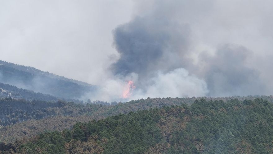 Última hora de los incendios en España: el fuego de Guadalajara ha quemado ya 16.000 hectáreas y el de Zaragoza ha sido estabilizado