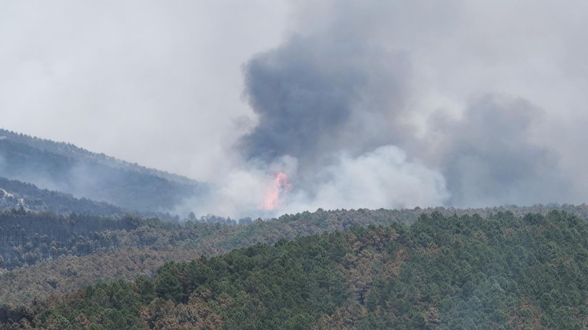 Última hora de los incendios en España: el fuego de Guadalajara suma ya 12.000 hectáreas y el de Zaragoza evoluciona favorablemente