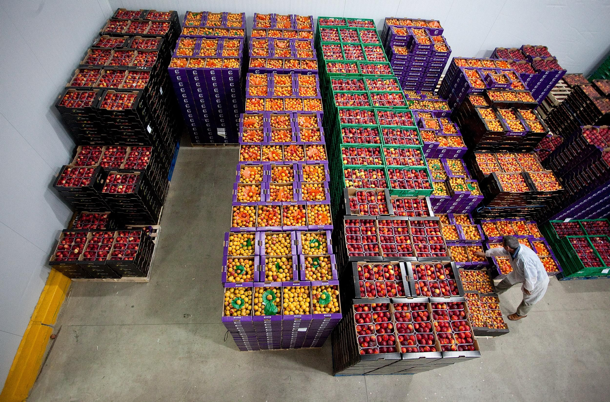 El 90% de la producción se va a los mercados internacionales