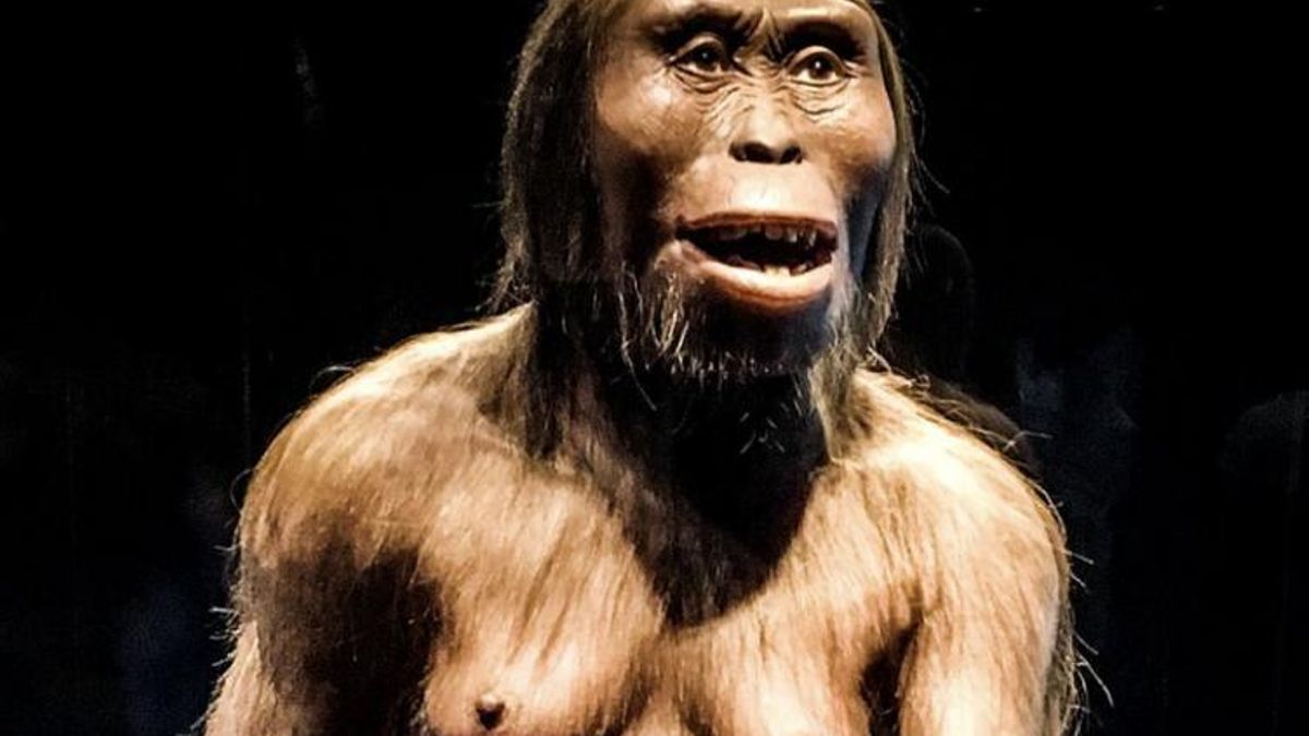 El tamaño menor de las hembras pudo favorecer su supervivencia en épocas de escasez de alimento