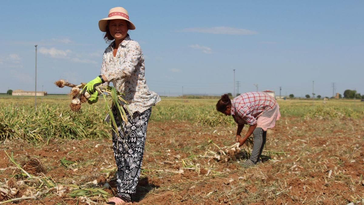 Día Internacional de las Mujeres Rurales