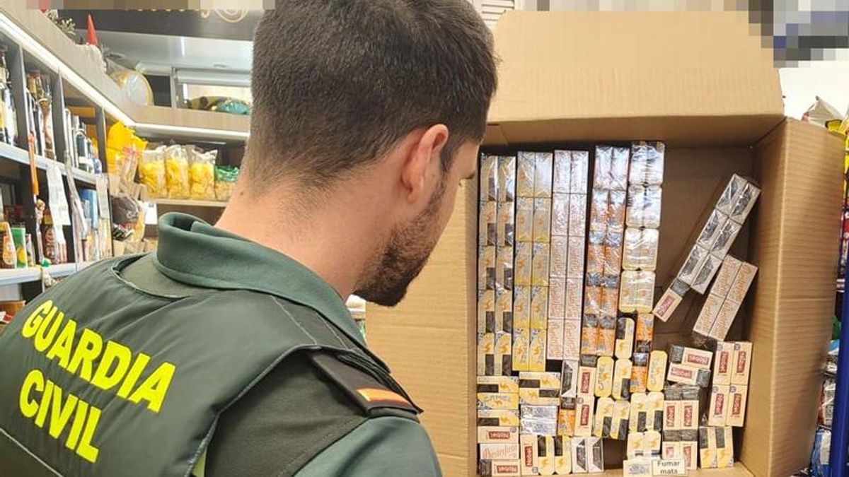 Inspección de tabaco en un establecimiento