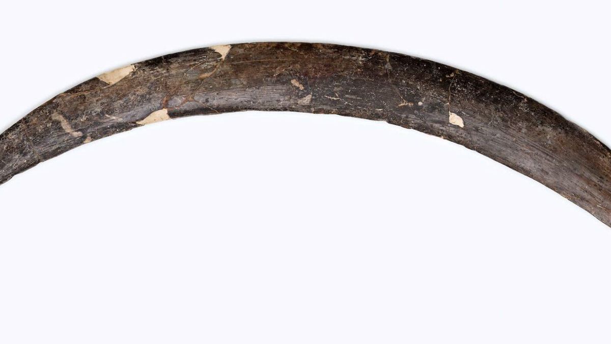 La pieza, tallada en marfil y descubierta junto a restos humanos y utensilios, fue datada recientemente entre hace 42.290 y 39.280 años