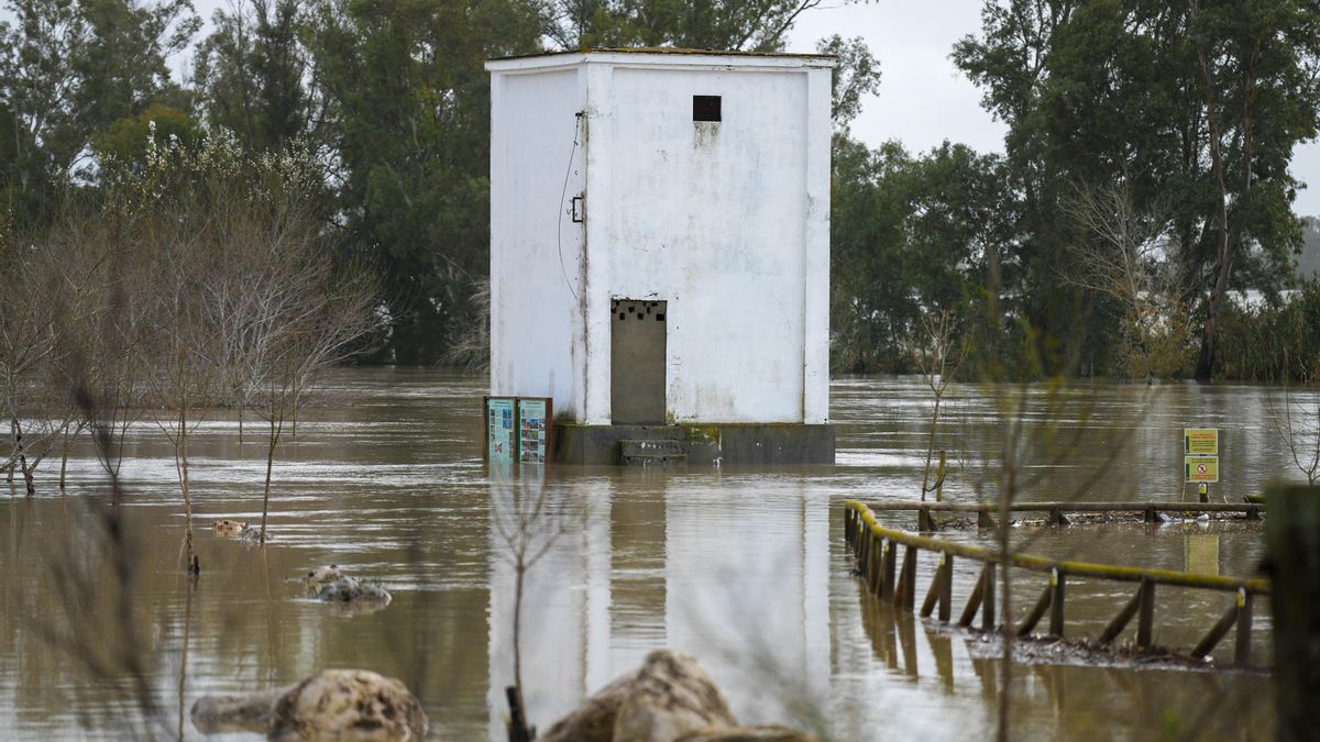 Más de 500 vecinos desalojados en Jerez pueden volver a sus casas tras estabilizarse el caudal del río Guadalete
