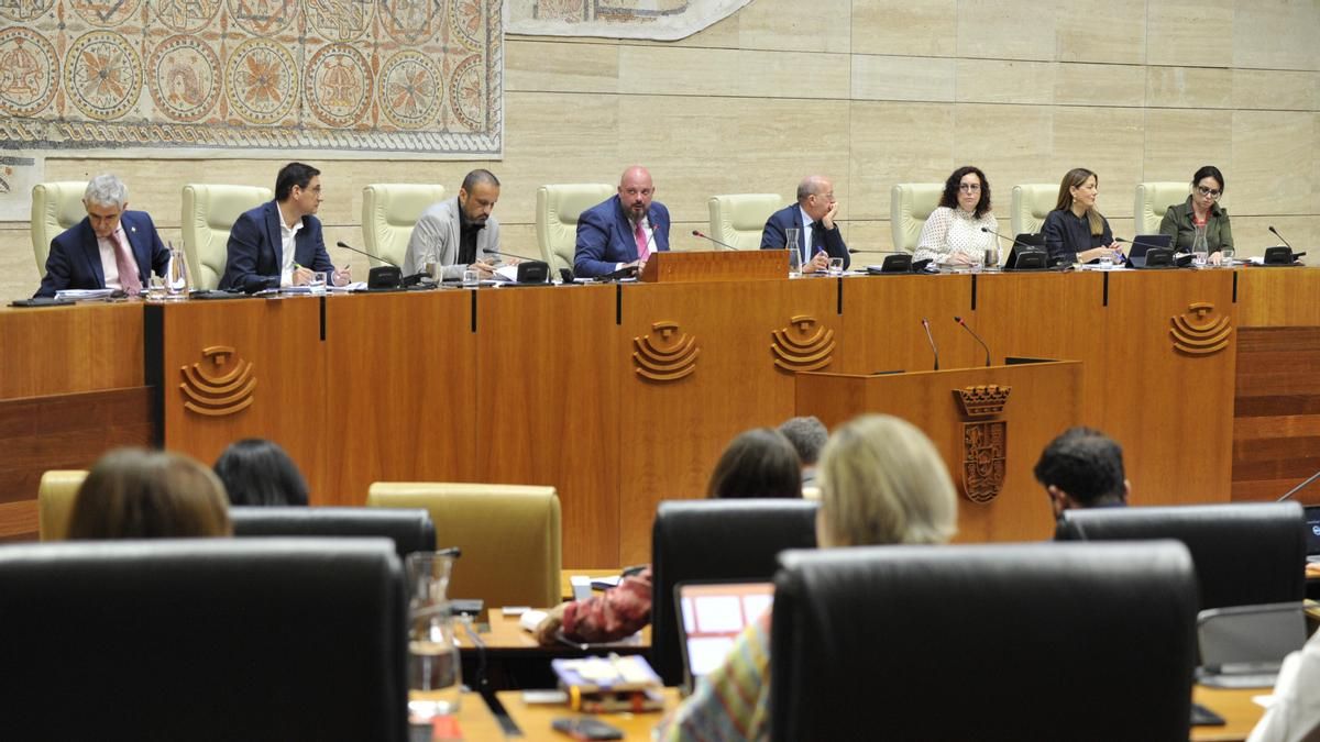 Las Hurdes y los municipios afectados por el fuego recibirán 10 millones en ayudas tras el acuerdo unánime de la Asamblea