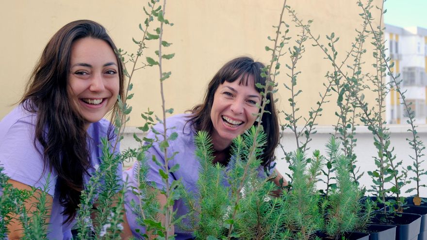 Plantas con mensaje: Floresta Sur arma una cooperativa que suma conciencia ambiental e inserción social