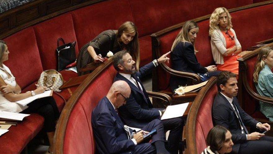 El portavoz de Vox en València interrumpe a gritos en el pleno a una ONG por recriminar los tuits racistas de su concejala