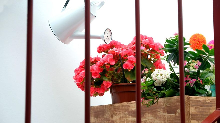 La primavera desde los balcones de la gente confinada en sus casas.