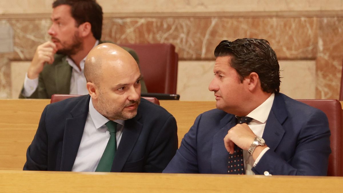 Gonzalo García de Polavieja (izquierda) se ha estrenado como portavoz de Vox.
