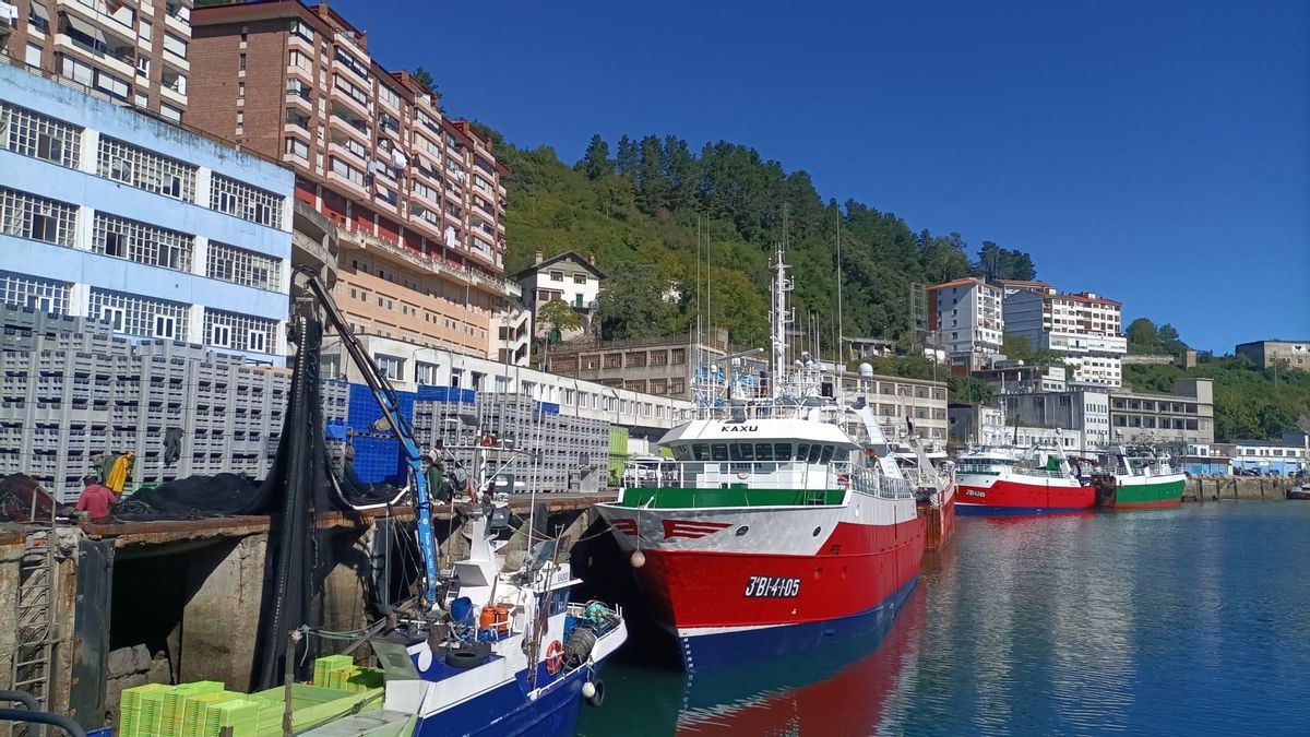 La flota de altura de Ondarroa, en su "límite de aguante" tras un mes amarrada por el precio del combustible